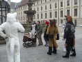 IMGP3191.JPG